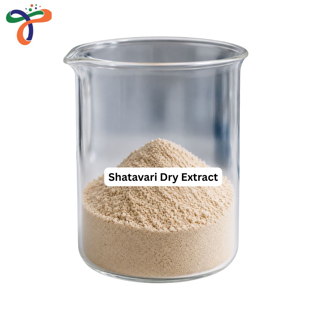 Shatavari Dry Extract